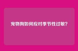宠物狗如何应对季节性过敏？