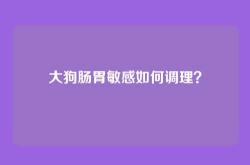 大狗肠胃敏感如何调理？