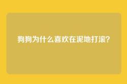 狗狗为什么喜欢在泥地打滚？