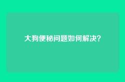 大狗便秘问题如何解决？