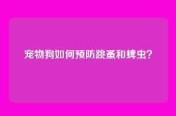 宠物狗如何预防跳蚤和蜱虫？