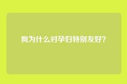 狗为什么对孕妇特别友好？