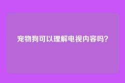 宠物狗可以理解电视内容吗？