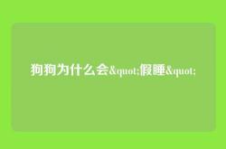 狗狗为什么会"假睡"