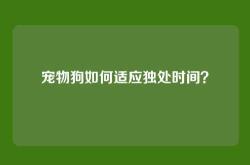 宠物狗如何适应独处时间？