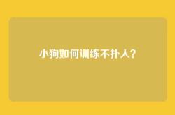 小狗如何训练不扑人？