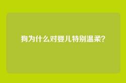 狗为什么对婴儿特别温柔？