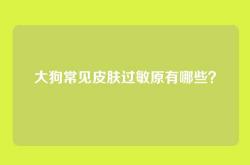 大狗常见皮肤过敏原有哪些？