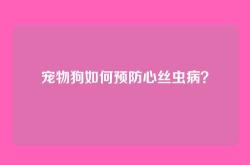 宠物狗如何预防心丝虫病？