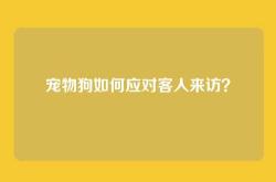 宠物狗如何应对客人来访？