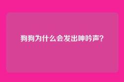 狗狗为什么会发出呻吟声？