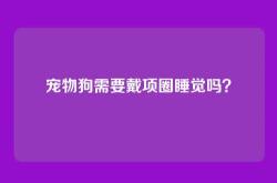 宠物狗需要戴项圈睡觉吗？