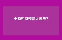 小狗如何预防犬瘟热？