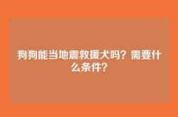 狗狗能当地震救援犬吗？需要什么条件？
