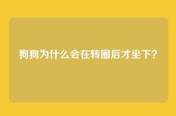 狗狗为什么会在转圈后才坐下？