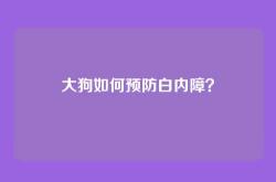 大狗如何预防白内障？
