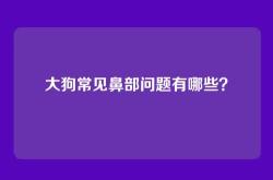 大狗常见鼻部问题有哪些？