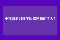小狗如何训练不叫醒熟睡的主人？