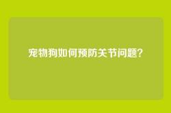 宠物狗如何预防关节问题？