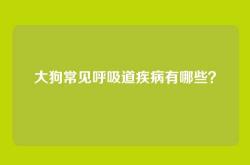 大狗常见呼吸道疾病有哪些？