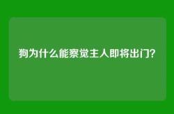 狗为什么能察觉主人即将出门？