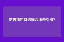 宠物狗如何选择合适牵引绳？