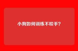 小狗如何训练不咬手？