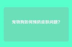 宠物狗如何预防皮肤问题？