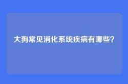 大狗常见消化系统疾病有哪些？