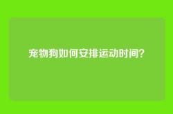 宠物狗如何安排运动时间？