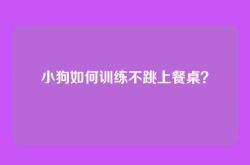 小狗如何训练不跳上餐桌？