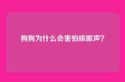 狗狗为什么会害怕咳嗽声？