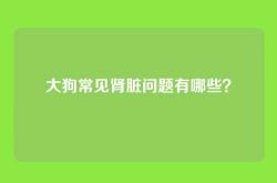 大狗常见肾脏问题有哪些？
