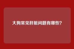 大狗常见肝脏问题有哪些？
