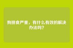 狗挑食严重，有什么有效的解决办法吗？