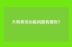 大狗常见心脏问题有哪些？