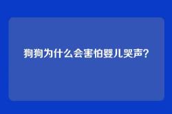 狗狗为什么会害怕婴儿哭声？