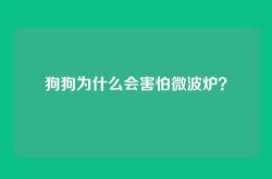 狗狗为什么会害怕微波炉？