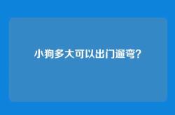 小狗多大可以出门遛弯？