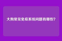 大狗常见免疫系统问题有哪些？