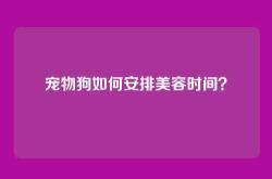 宠物狗如何安排美容时间？