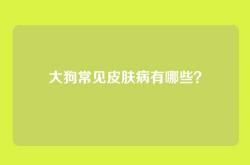 大狗常见皮肤病有哪些？