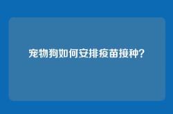 宠物狗如何安排疫苗接种？