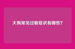 大狗常见过敏症状有哪些？