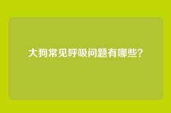大狗常见呼吸问题有哪些？