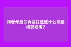 狗老年后饮食要注意些什么来延缓衰老呢？
