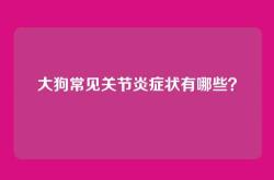 大狗常见关节炎症状有哪些？