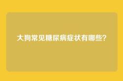 大狗常见糖尿病症状有哪些？