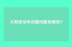 大狗常见甲状腺问题有哪些？