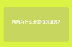 狗狗为什么会害怕加湿器？